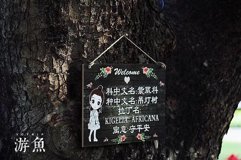救援蝙蝠